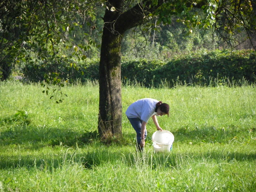 112_7073_JPG-1318887171