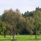 112_7078_JPG-1318887209