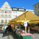 112_8672_JPG-1318888450