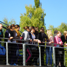 112_8873_JPG-1318894977