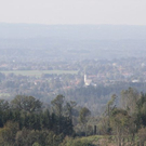 normal_15102011hirschbrunftkjaktivnews_0008.jpg