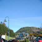 normal_161011hirschsfaktivnews006.JPG