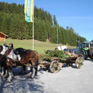 normal_161011hirschsfaktivnews017.JPG