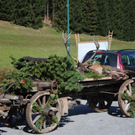 normal_161011hirschsfaktivnews018.JPG