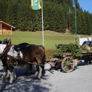 normal_161011hirschsfaktivnews019.JPG