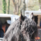 110409_11429_148_jpg-1318935482