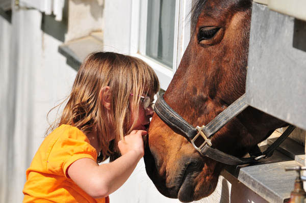 110409_11429_665_jpg-1318935494