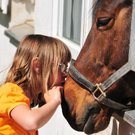 110409_11429_665_jpg-1318935494