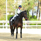 110409_11429_762_jpg-1318935499