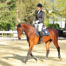 110409_11429_815_jpg-1318935504