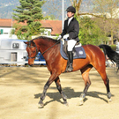 110409_11429_817_jpg-1318935507