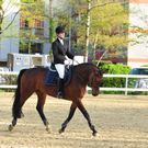 110409_11429_822_jpg-1318935509