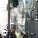 Bilder vom Dampfaustritt