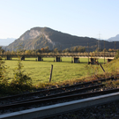 Diskussion zum Erhalt der Rheinbahnbrücke