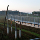 Jahrgang 51_15_10_2011 233_jpg-1318965653