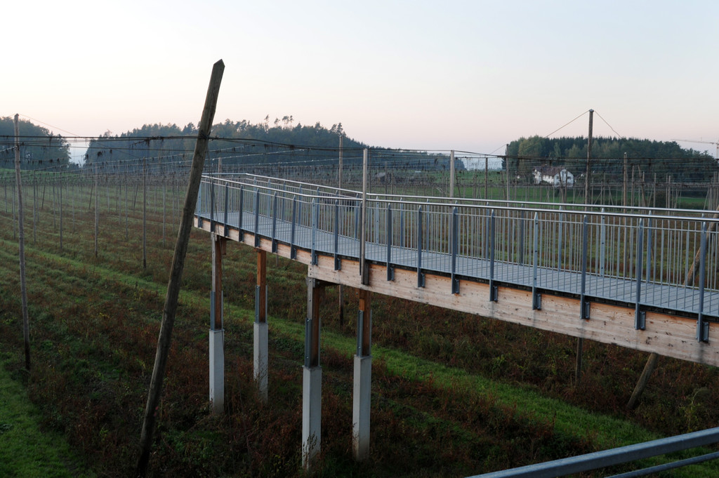 Jahrgang 51_15_10_2011 233_jpg-1318965653