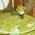 Jahrgang 51_15_10_2011 238_jpg-1318965703