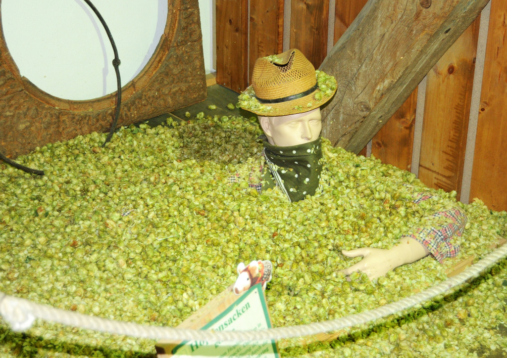 Jahrgang 51_15_10_2011 238_jpg-1318965703