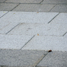 112_8688_JPG-1318973114