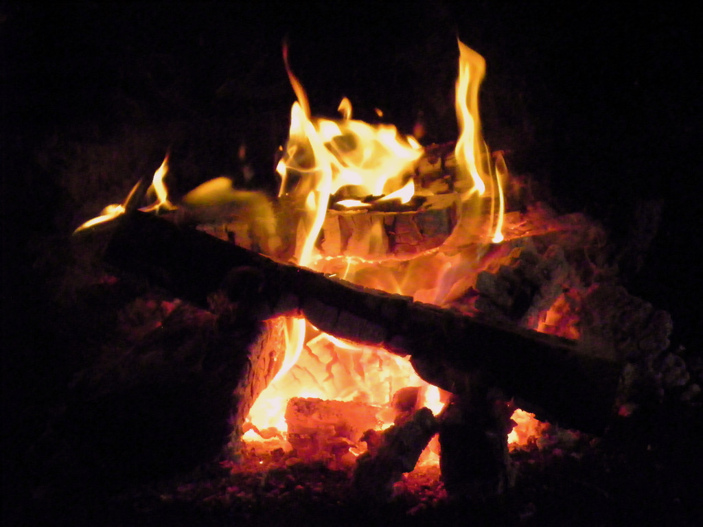 112_9249_JPG-1318980620