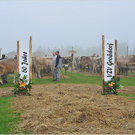 VZV_G_60J_0004.JPG