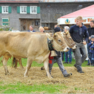 VZV_G_60J_0108.JPG