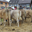 VZV_G_60J_0125.JPG