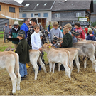 VZV_G_60J_0145.JPG