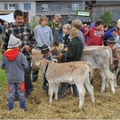 VZV_G_60J_0147.JPG
