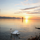 Sonnenuntergang am See HERBST 2011 _2__jpg-1319022945