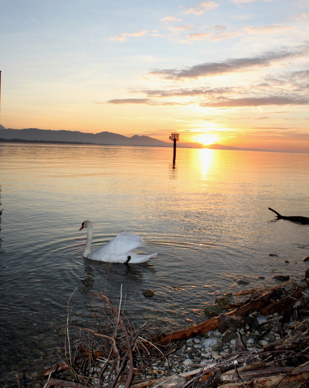 Sonnenuntergang am See HERBST 2011 _2__jpg-1319022945