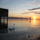 Sonnenuntergang am See HERBST 2011 _3__jpg-1319022951