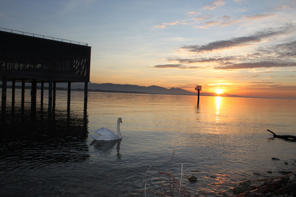 Sonnenuntergang am See HERBST 2011 _3__jpg-1319022951