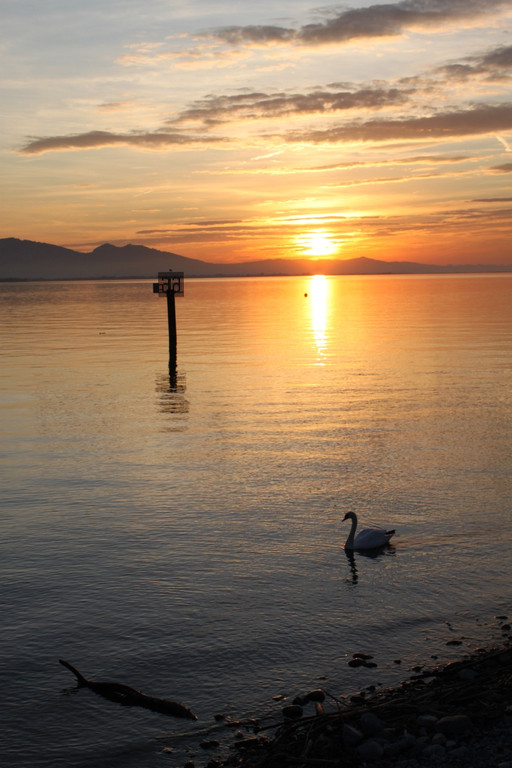 Sonnenuntergang am See HERBST 2011 _30__jpg-1319023112
