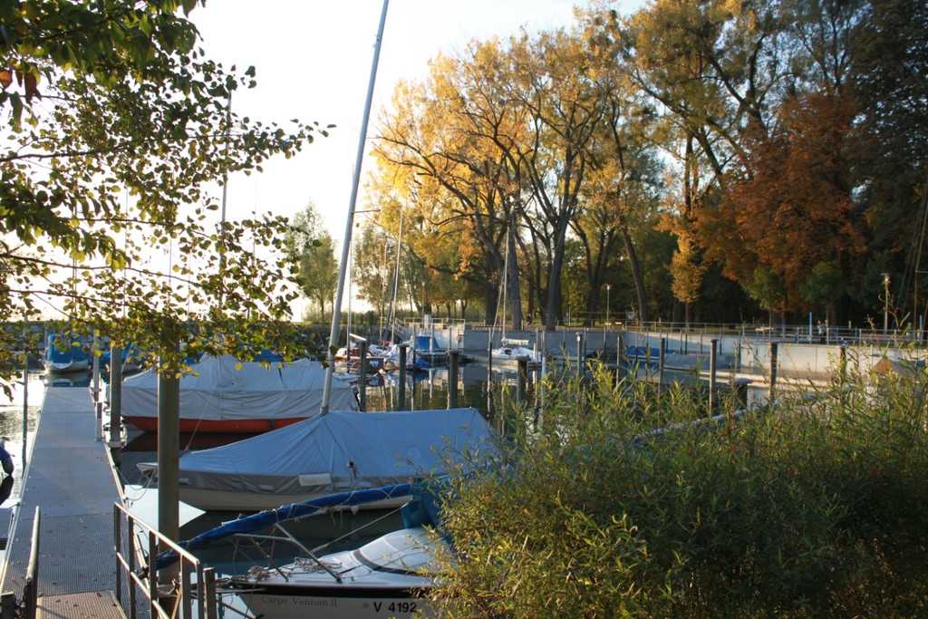 Sonnenuntergang am See HERBST 2011 _12__jpg-1319023006