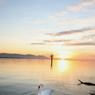 Sonnenuntergang am See HERBST 2011 _1__jpg-1319022940