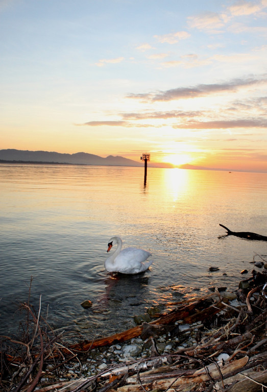 Sonnenuntergang am See HERBST 2011 _1__jpg-1319022940