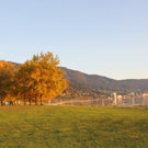 Sonnenuntergang am See HERBST 2011 _20__jpg-1319023057