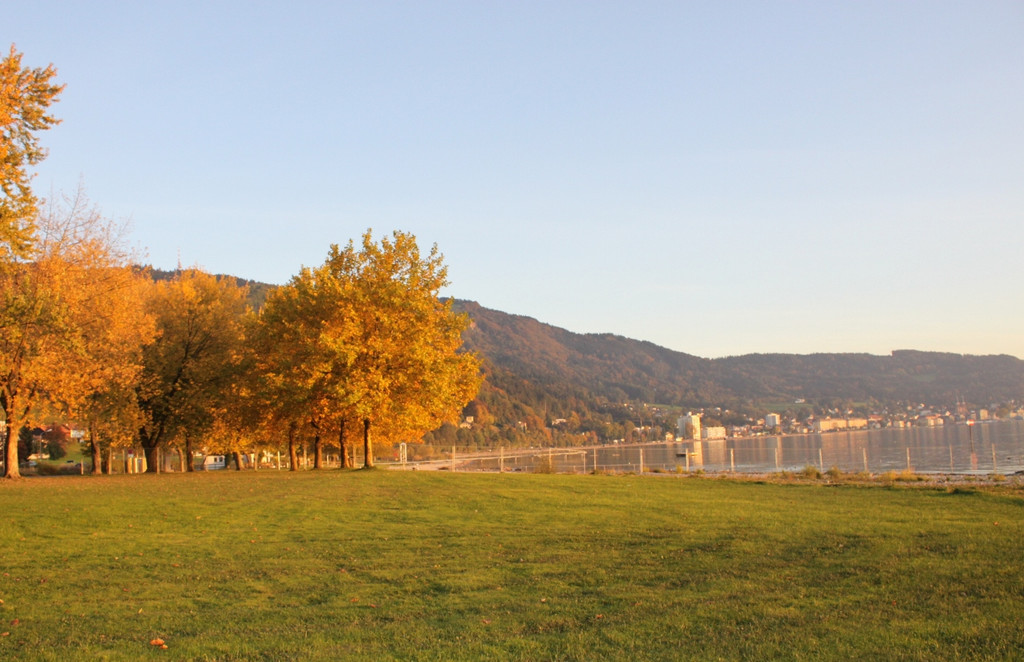 Sonnenuntergang am See HERBST 2011 _20__jpg-1319023057