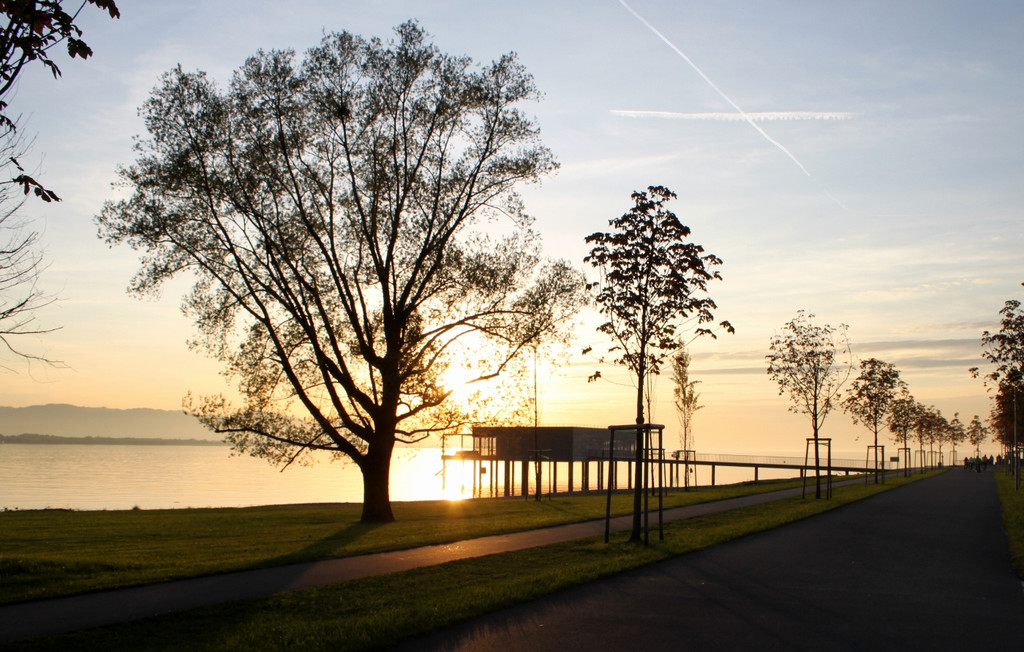 Sonnenuntergang am See HERBST 2011 _19__jpg-1319023051