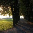 Sonnenuntergang am See HERBST 2011 _11__jpg-1319022999