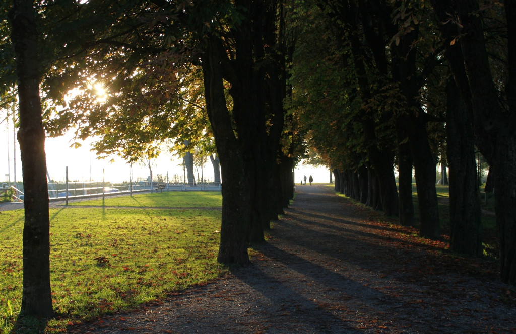 Sonnenuntergang am See HERBST 2011 _11__jpg-1319022999