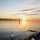 Sonnenuntergang am See HERBST 2011 _34__jpg-1319023131