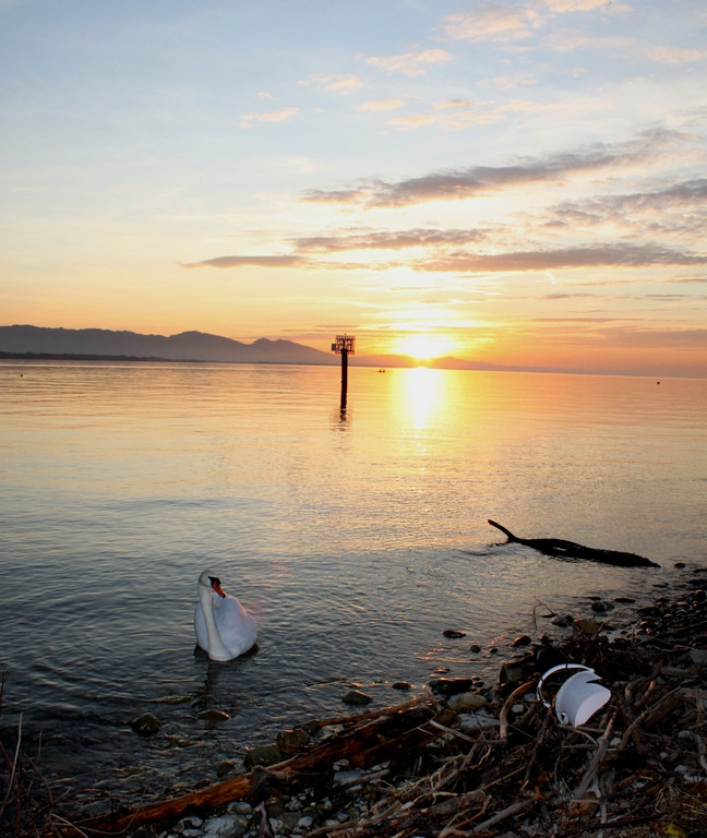 Sonnenuntergang am See HERBST 2011 _34__jpg-1319023131