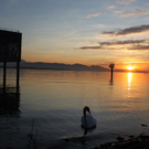 Sonnenuntergang am See HERBST 2011 _35__jpg-1319023135