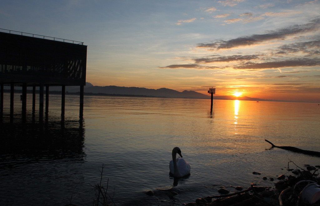 Sonnenuntergang am See HERBST 2011 _35__jpg-1319023135