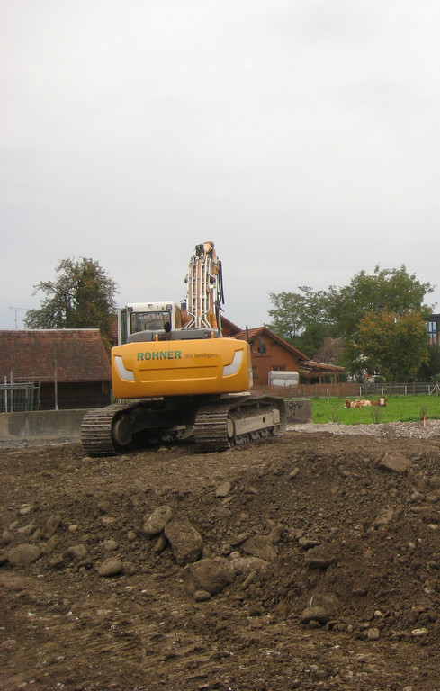 Die K__he in der angrenzenden Wiese lassen sich vom Bagger nicht st__ren.jpg