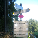 Wanderung Pfänderhöhenweg