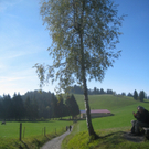Wanderung Pfaender bis Troegen 2011 _3__jpg-1319024659