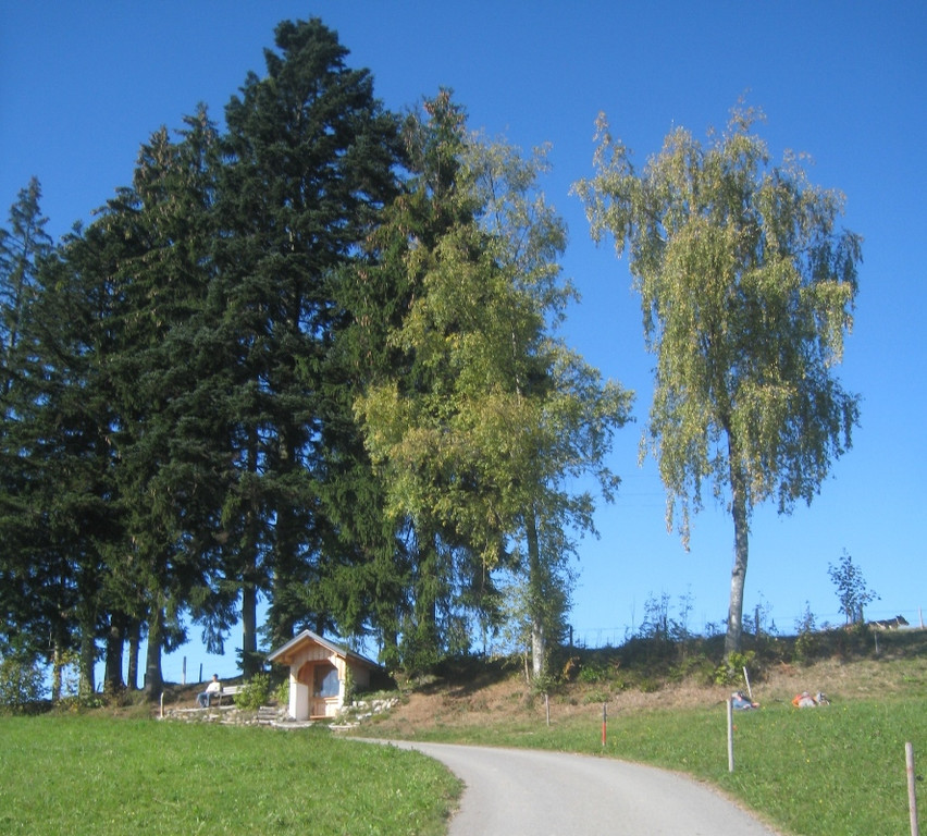 Wanderung Pfaender bis Troegen 2011 _36__jpg-1319024828